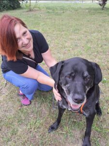 Marley und ich